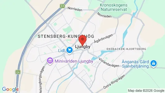 Butikslokaler att hyra i Ljungby - kort over placeringen